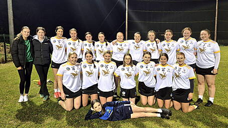 Bandon keen to grow club's adult camogie team Image