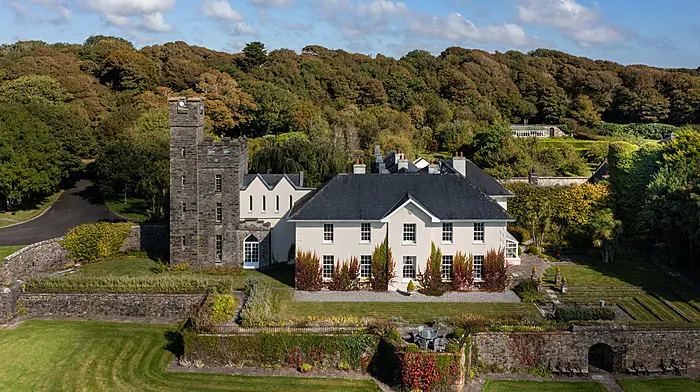 HOUSE OF THE WEEK: Magical Disney castle  for €7.5m Image