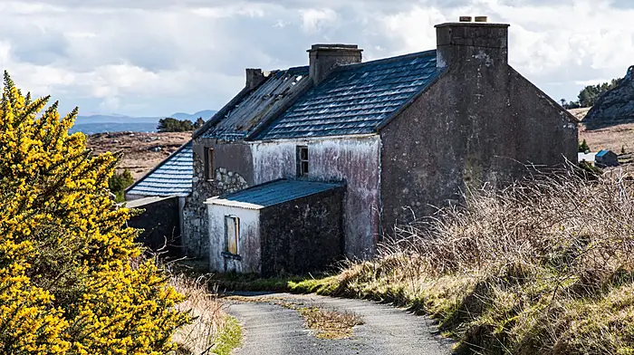 Public information sessions for derelict property owners Image