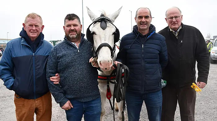 Derry Fitzgerald, Paul Ryan, Robbie Cronin and Con Cremin with Malibu the mule at the Cheval Ride in Skibbereen which was held in aid of Skibbereen Sports Centre. Photo; Anne Minihane.