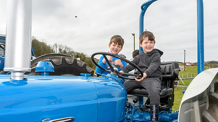 Austin and Mason Daly, who attend Ballinacarriga National School, testing out Dermot's Fordson Super Dexta. (Photo: Denis Boyle)