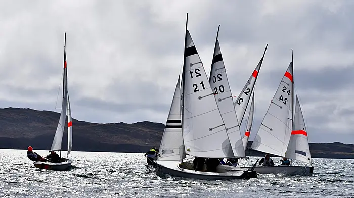 Schull Sharks and Schull Seals star at inaugural Fastnet Trophy Image