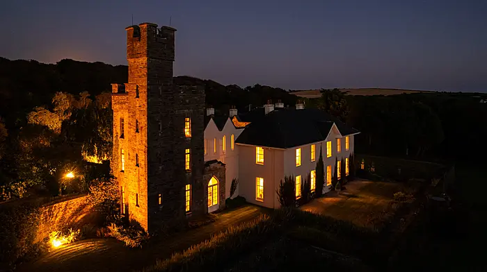 Coolmain Castle owned by Disney family is now on the market for €7.5 million Image