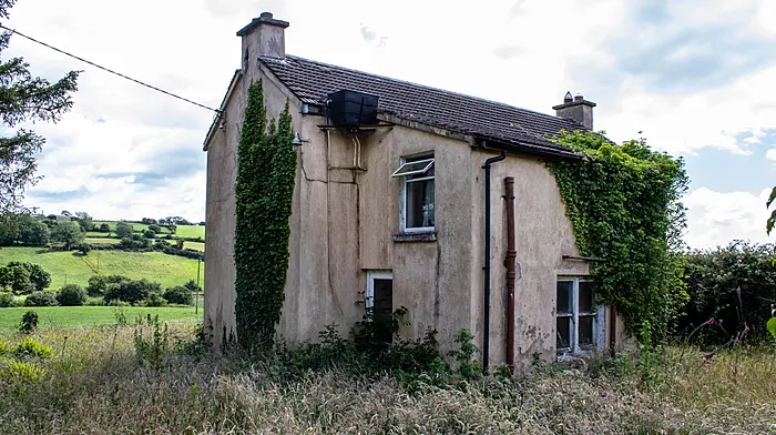 KNOW YOUR RIGHTS: What to know when buying and renovating a derelict house Image