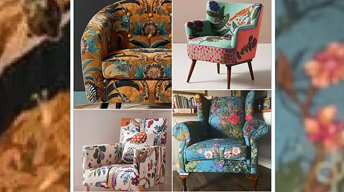 INTERIORS: Accent chairs bring a stylish pop of colour Image