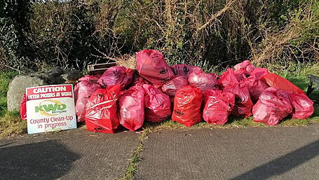 Skibbereen Tidy Towns tackle litter-blighted river walk Image