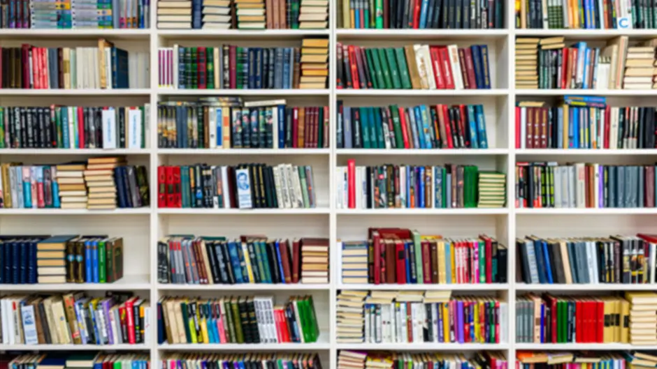 Top 10 reads before the West Cork Literary Festival 2025 Image