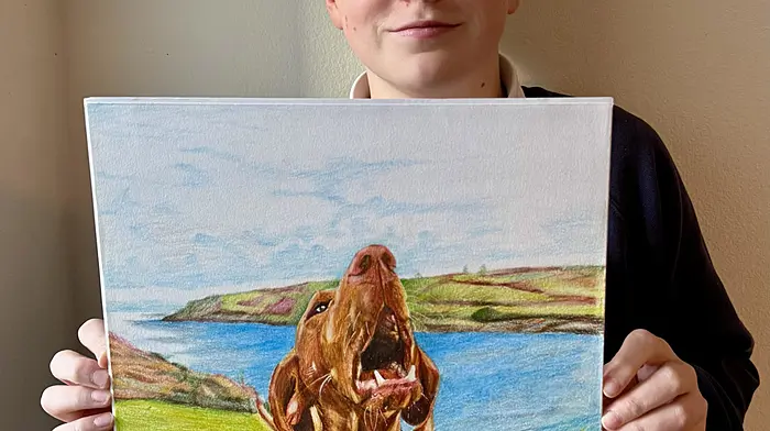 Tadhg Kinsella (11), a pupil of Glandore National School, with his artwork titled Hurry Up Human, which won a special merit award in his age category in the 71st Texaco Children's Art Competition.
