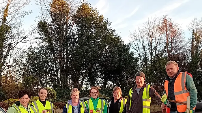 Catherine Cotter, Sharon O’Regan, Zena O’Regan, Eileen Crowley, Eleanor Crowley, Patrick O’Farrell and Donagh Noonan, were some of the volunteers who helped at the recent Togher and surrounding areas spring clean-up session.