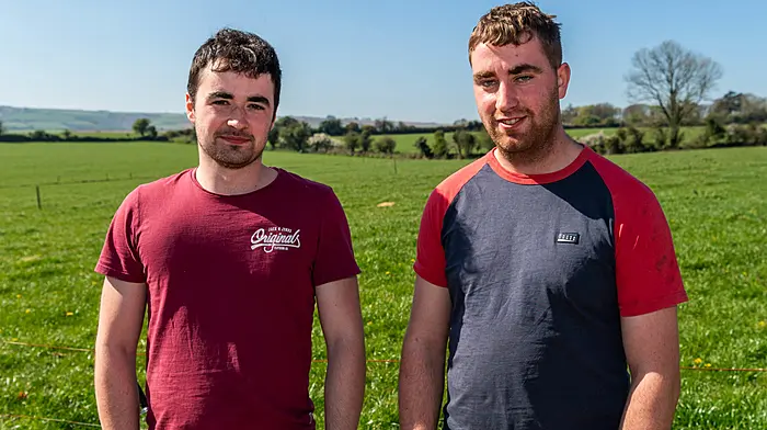 Lely Industries held a Robotic Milking Open Day on the farm of  dairy farmer Gavin Forde today. A steady stream of dairy farmers visited the farm throughout the day and were shown the Lely Astronaut milking system. The system, which costs €180,000, allows more automation on the farm. Attending the event were dairy farmers Liam Twomey, Bandon and Gearoid McCarthy from Ballinadee. Picture: Andy Gibson.