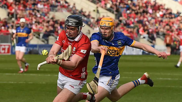 Home form key for Cork hurlers in Munster Image