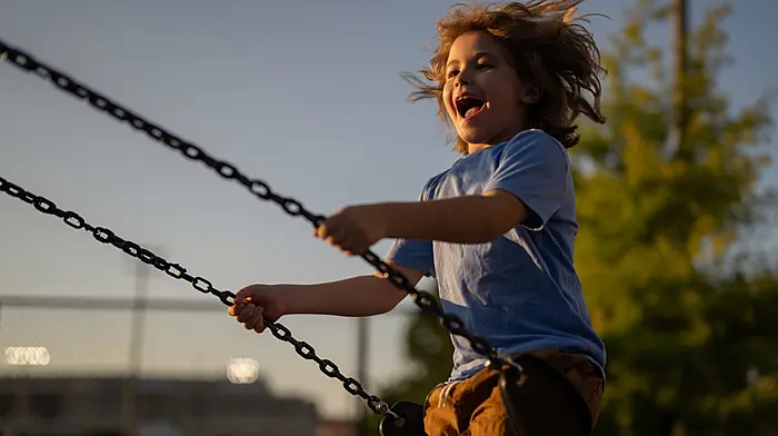 Contractor sought for Cape Clear playground Image