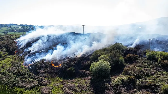 Gorse fire at Shanavagh in Ballydehob now under control Image