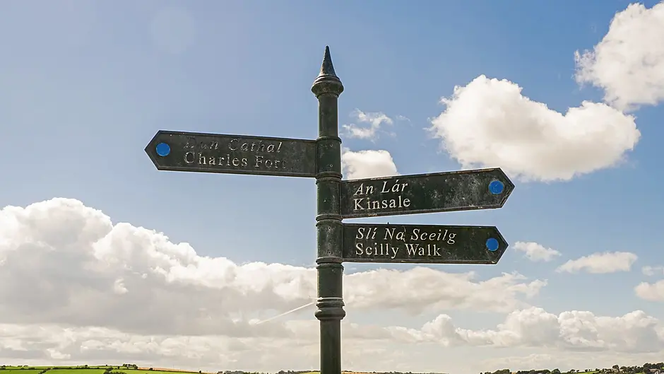 One-way system proposal for Kinsale Image
