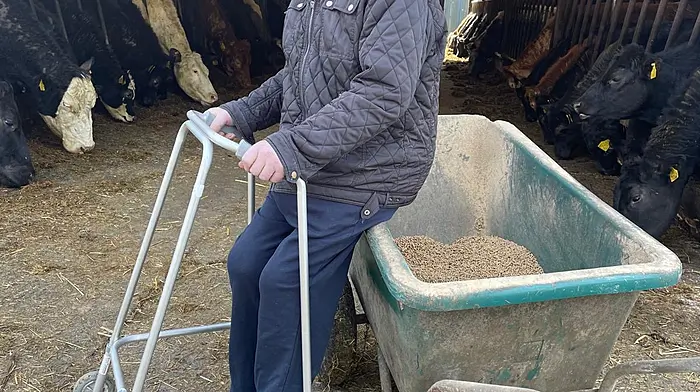 William Blake from Beara out farming on his 100th birthday.