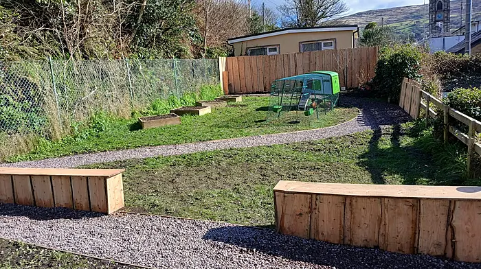 The sensory garden at St Brendan's National School showing the popular hens in their modern coop.