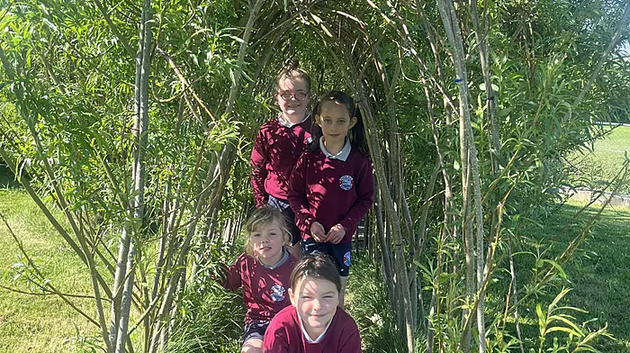 Marta Marchenko, Annie Casey, Ayla Buggy, and Ellie Hennick enjoying the lovely weather in the willow dome at Rath National School.