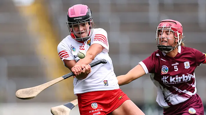 Special Congress vote to decide on the camogie skorts or shorts issue Image