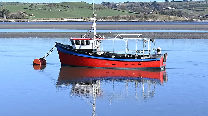 Reflections on a recent sunny morning in Courtmacsherry.   (Photo: Martin Walsh)
