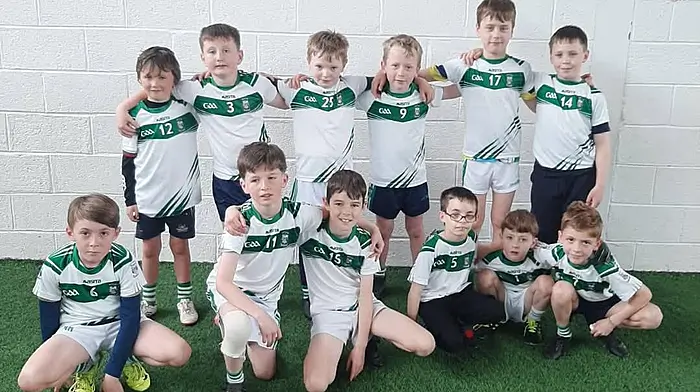 The Ilen Rovers U10 team who came on to play at half-time during the intermediates league game in Rath last Sunday. Back (from left): Tim Sheehy, Charlie O'Driscoll, Shane Murphy, Seán O’Sullivan, Quinn Breen, and Cillian O'Mahony. Front (from left): Noah Harmon, Danny Coakley, Seán Duggan, Jerry O’Mahony, Fionn Barry, and Tadhg Barry.