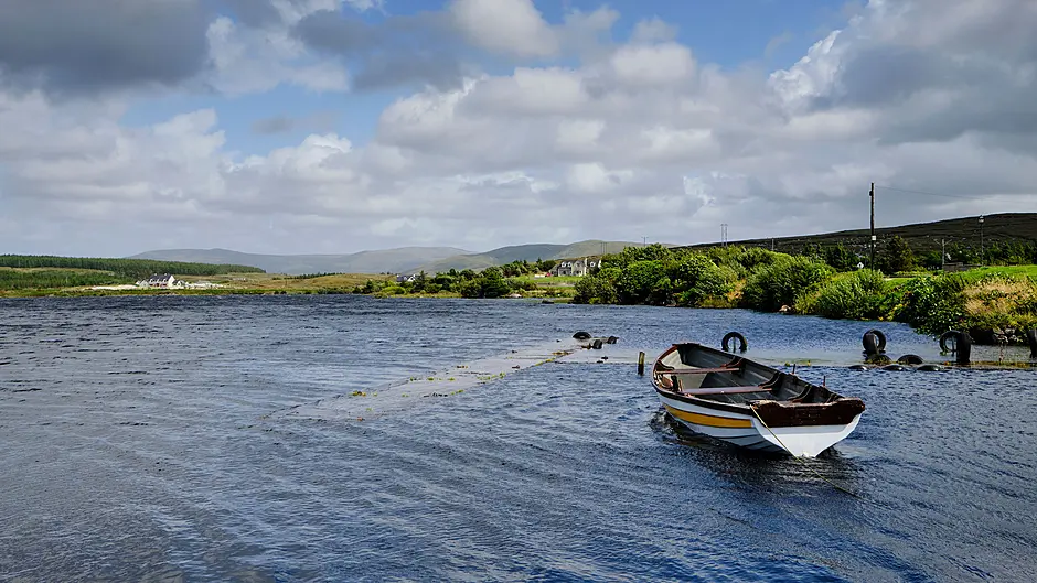 Teagasc appoints river catchment co-ordinators Image