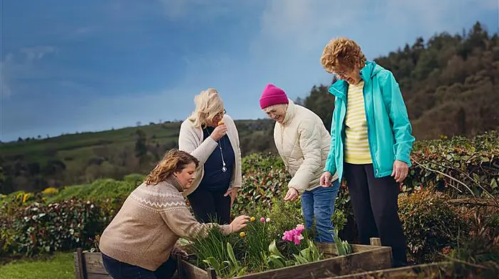 Ballyvourney sensory garden  showcased in  ESB campaign Image