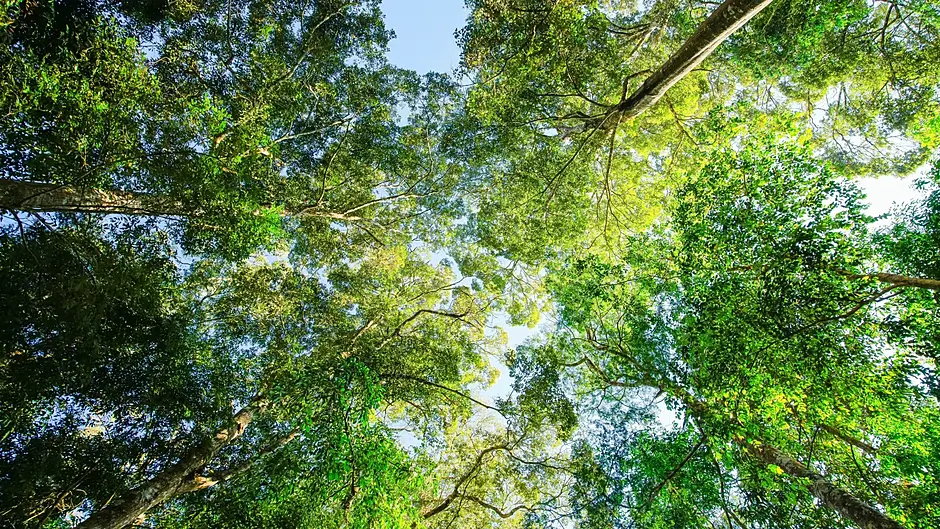BioBlitz in Baile Bhúirne Image