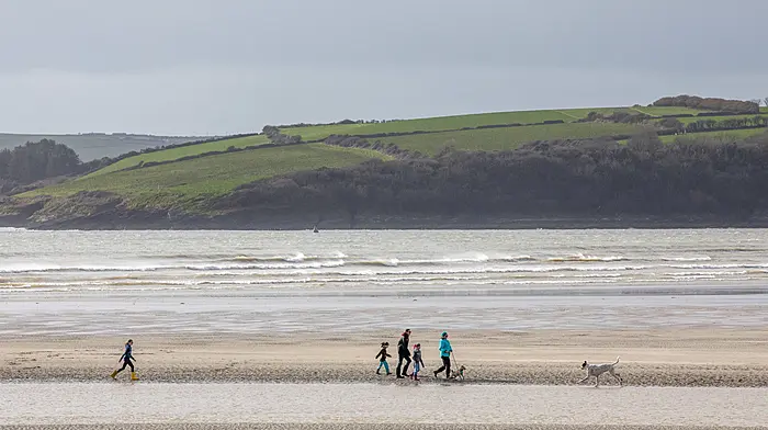 Do not swim notice issued for Coolmaine Beach Image