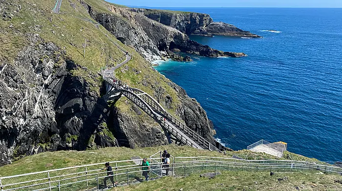 A gulls-eye view of Mizen Head Visitor Centre Image
