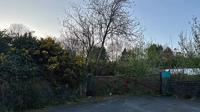 Green light for Skibbereen council apartments Image