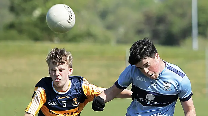 Jack’s the ace in the pack as dominant Hamilton High School Bandon defend Dr Herlihy Cup title Image