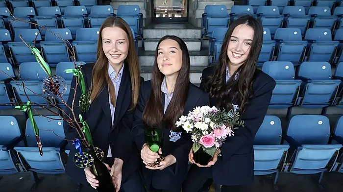 Bantry pupils among entrepreneur finalists Image