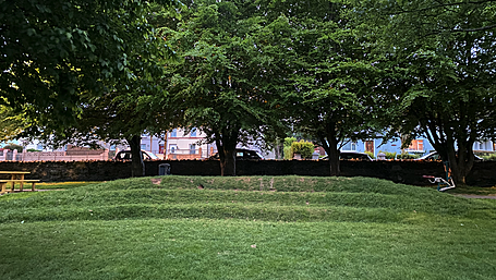 Planting for Clonakilty playground Image