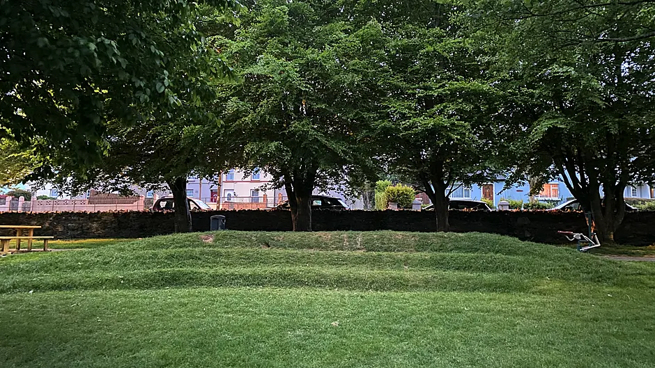 Planting for Clonakilty playground Image