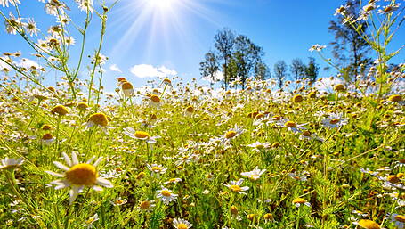 Older people urged to stay safe during hot spell Image
