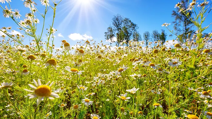 Older people urged to stay safe during hot spell Image