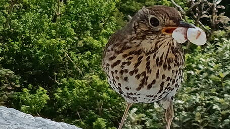 Reader’s Picture of the Week Image