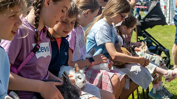 The annual Bandon Show took place today with thousands of people attending to see horse and cattle classes, along with poultry and arts & crafts competitions. There was also food stalls and a childrens fun fair. The children's petting farm was very popular. Picture: Andy Gibson.