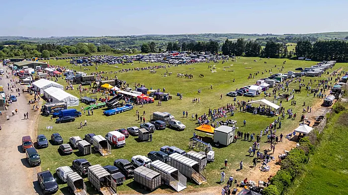The annual Bandon Show took place today with thousands of people attending to see horse and cattle classes, along with poultry and arts & crafts competitions. There was also food stalls and a childrens fun fair. Picture: Andy Gibson.