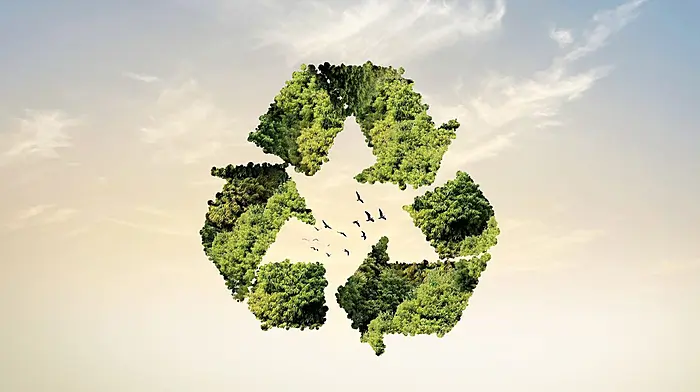 Skibbereen students creating a ‘Buzz’ around new eco gum innovation Image