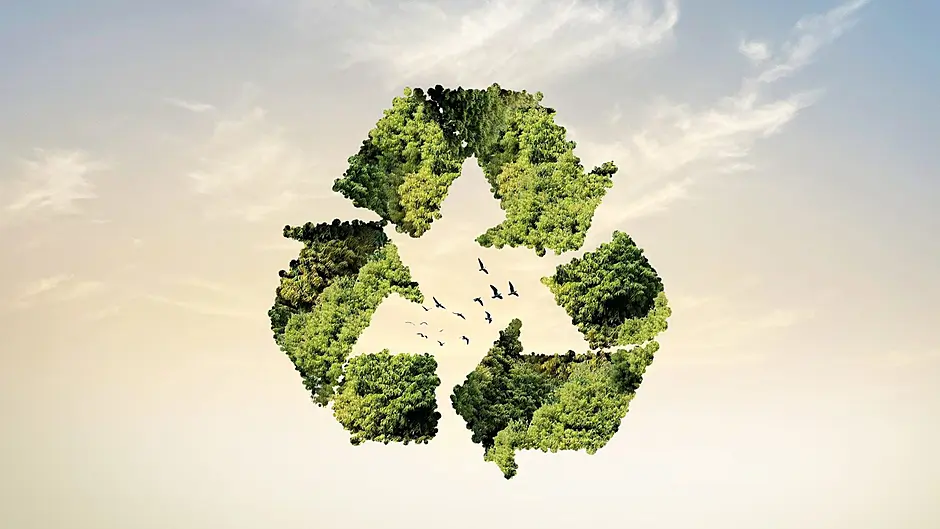 Skibbereen students creating a ‘Buzz’ around new eco gum innovation Image