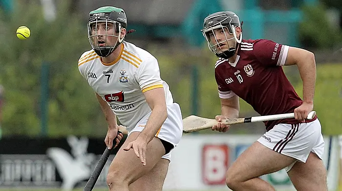 High-flying Bandon hurlers are going up to Division 3 after guaranteeing promotion Image