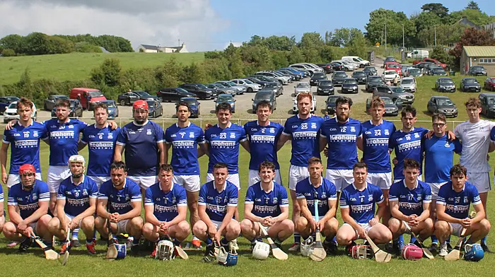 Kilbree power to Division 1 league title Image