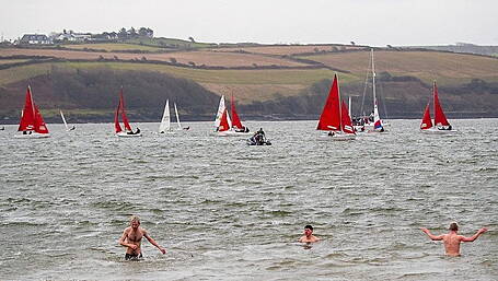 ‘No sense’ to Kinsale mussel licence Image