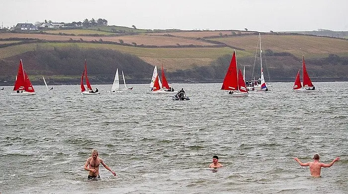 ‘No sense’ to Kinsale mussel licence Image