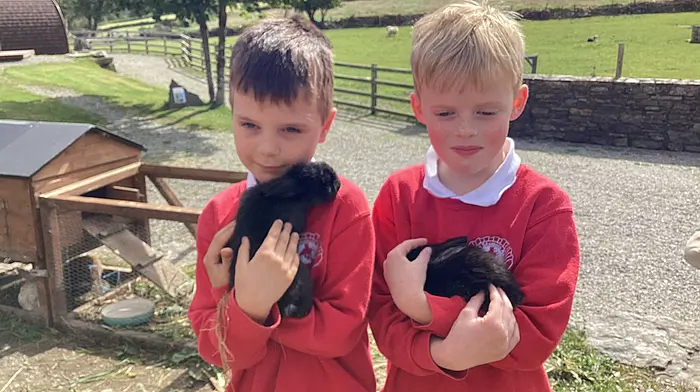 Wade Westwood and Theo Payne Lynch from St James’ National School with two happy bunnies at the Top of the Rock Pod Páirc in Drimoleague, where they enjoyed their school tour.
