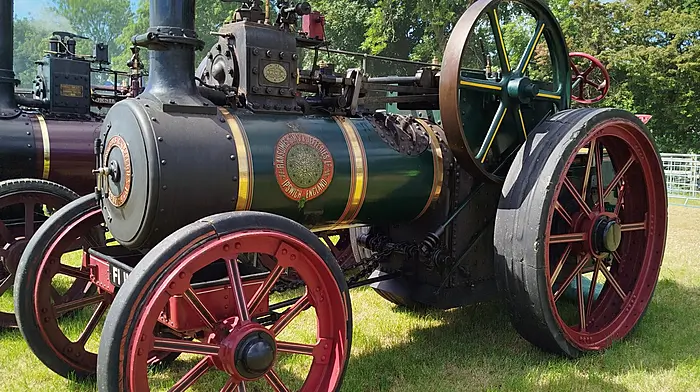 The 28th annual Innishannon Steam & Vintage Rally was held over the bank holiday weekend in aid of the Irish Cancer Society. Since its inception in 1997, the rally has raised almost €2 million for the good cause.