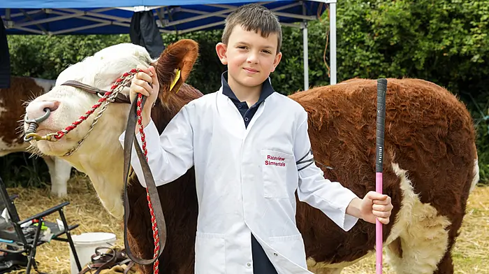 Gate closes on yet another successful Belgooly Show Image