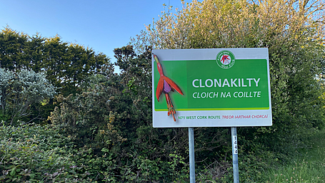 Plans for 246 houses in Clonakilty Image
