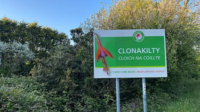 Plans for 246 houses in Clonakilty Image